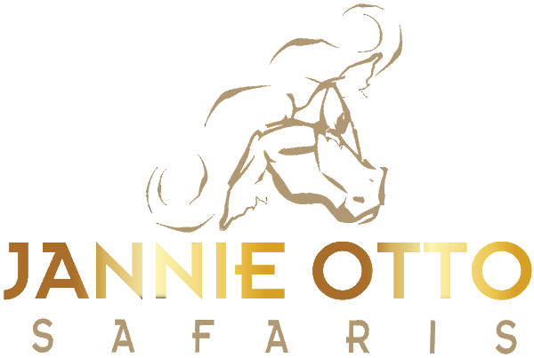 cropped-JannieOtto-New-brown-Logo